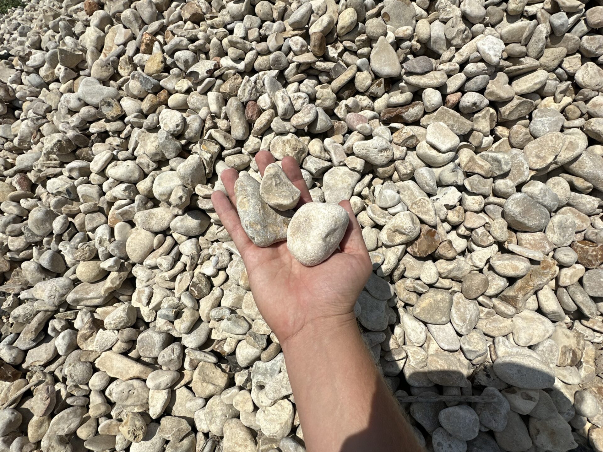 creme colored river rock 1-2 inches